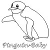 Pinguin-Baby